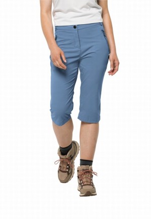 Jack Wolfskin Activate Light 3/4 Broek Dames Blauw | 48726116