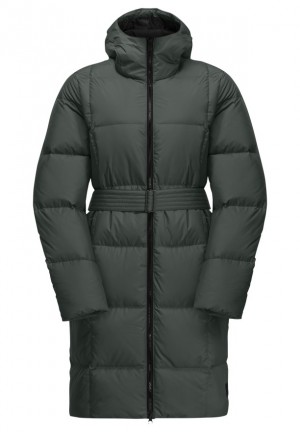 Jack Wolfskin Frozen Lake Donzen Jassen Dames Grijs | 29367577