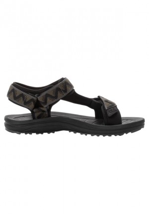 Jack Wolfskin Wave Breaker Sandalen Heren Bruin | 30776542